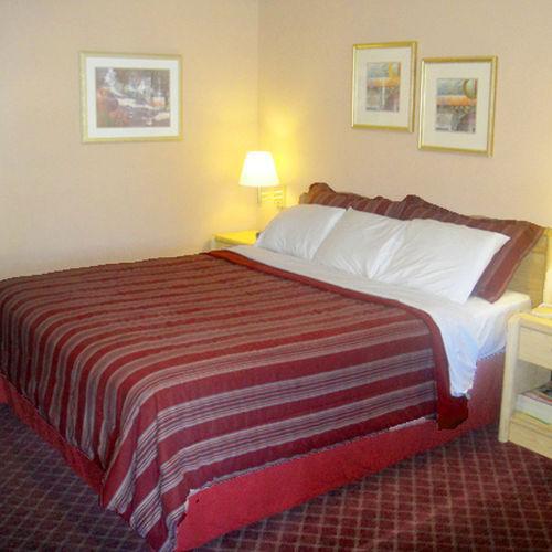 Muir Lodge Motel Martinez Quarto foto